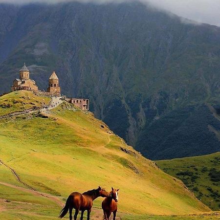 Гостевой дом Ineza's Казбеги Экстерьер фото
